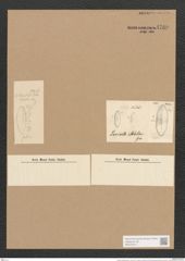 Surirella moelleriana Grun. (de-Toni-Nr.: Genus 53, Species 2376) Zeichnungen Sammlung Grunow Nr. 4780 (NHMW-BOT-W0372912)